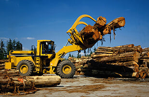 Forestry